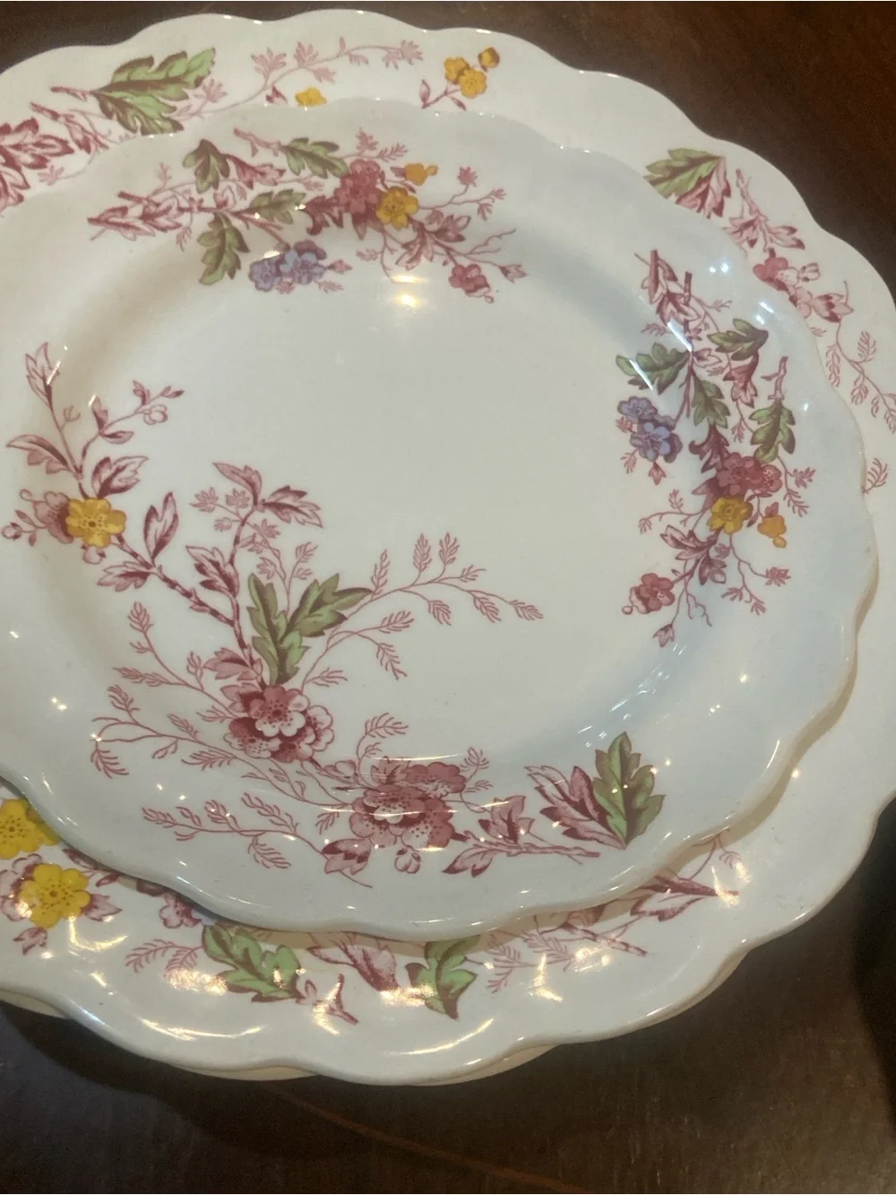 SR Ridgeway Ironstone Staffordshire England “ English Garden 6 piece set